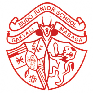 BUDO JUNIOR SCHOOL logo