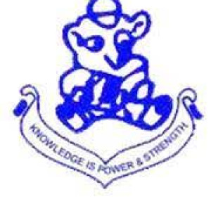 SUPERIOR PRIMARY SCHOOL logo