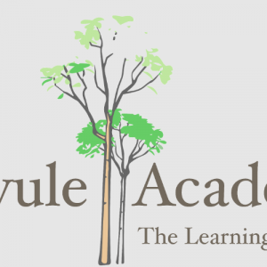 Muvule Academy logo