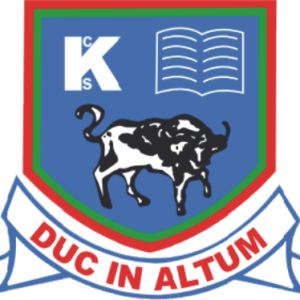 Kyambogo College School logo