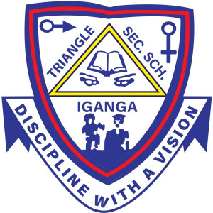 Triangle Secondary School logo