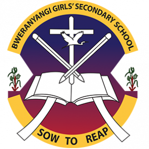 BWERANYANGI GIRLS' SCHOOL logo