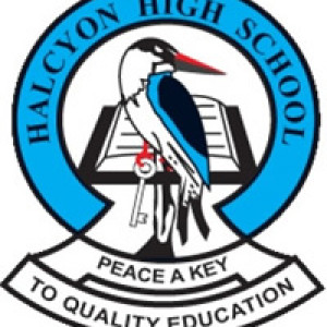 HALCYON HIGH SCHOOL,SOROTI logo