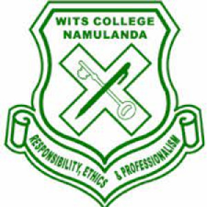 Wits college Namulanda logo