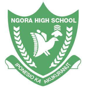 NGORA HIGH SCHOOL logo