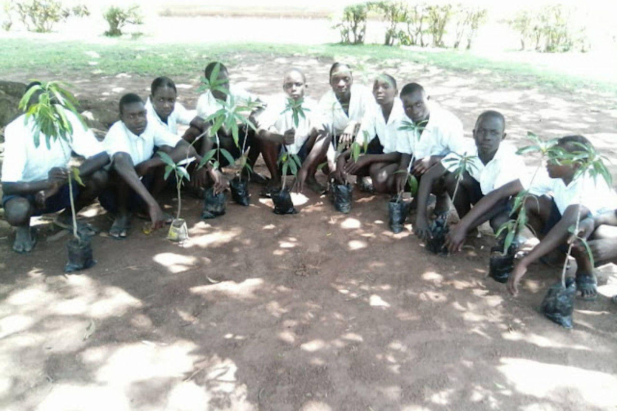 KISOKO BOYS PRIMARY SCHOOL