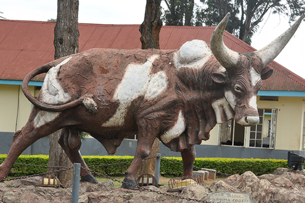 MBARARA HIGH SCHOOL